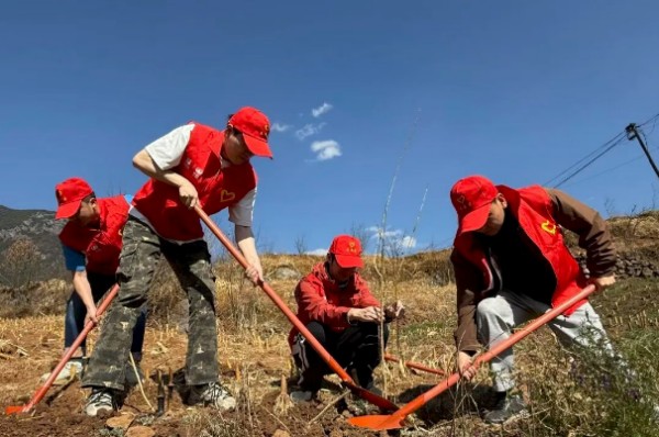 川交公司各項(xiàng)目沉浸式植樹(shù)