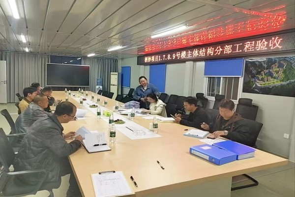 中江棲妙覽景項目主體結(jié)構(gòu)順利通過驗收